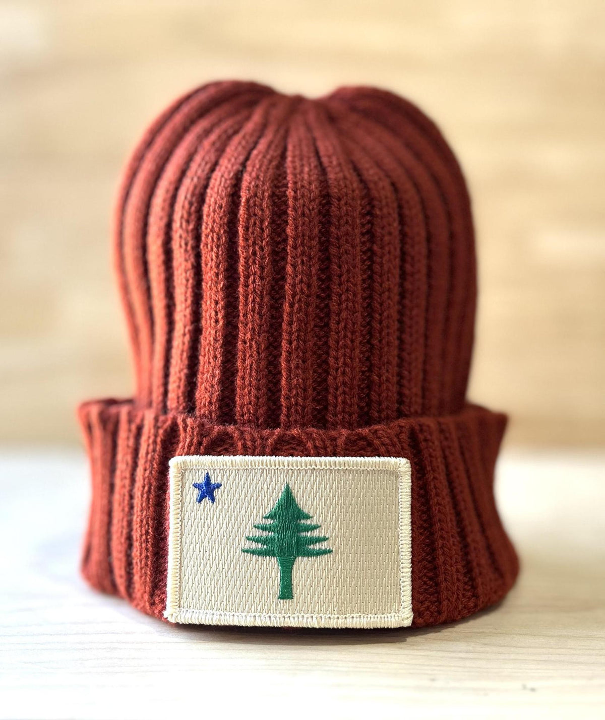 1901 Flag Ribbed Knit Beanie