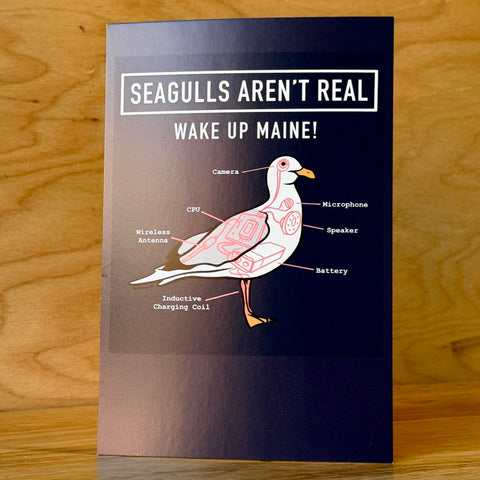 Seagulls Aren’t Real Postcard @Forthouse