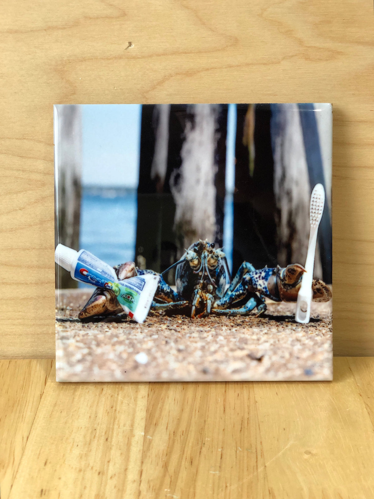 Blue Lobster Coasters - Kevin Ouellette