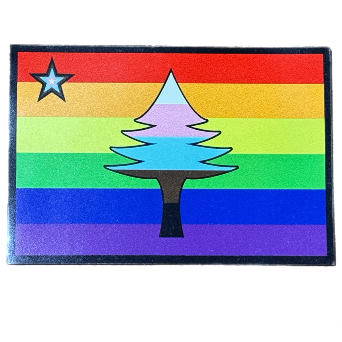 1901 Flag Pride Flag Magnet @_hcdesign_