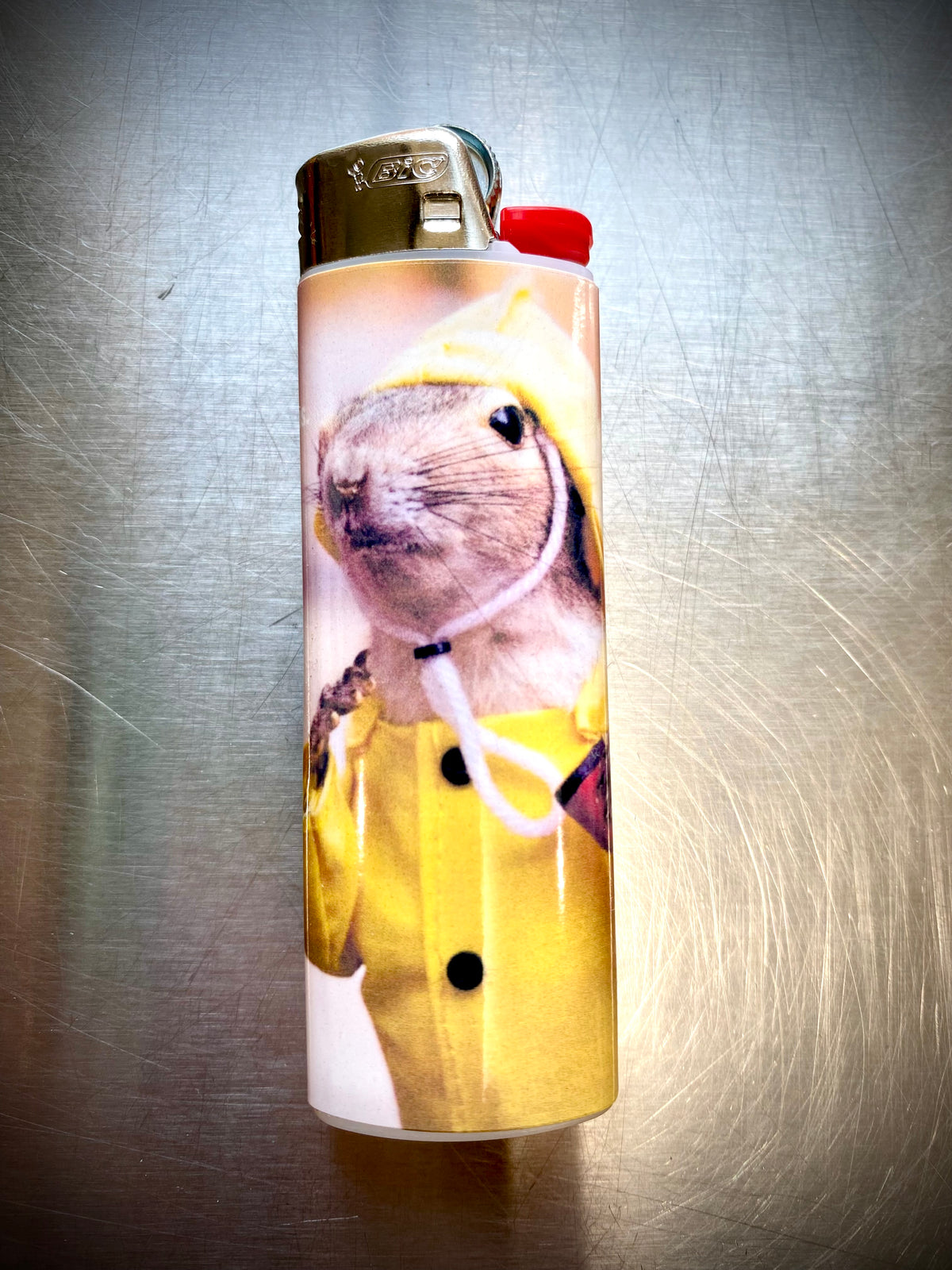 Bic Lighter