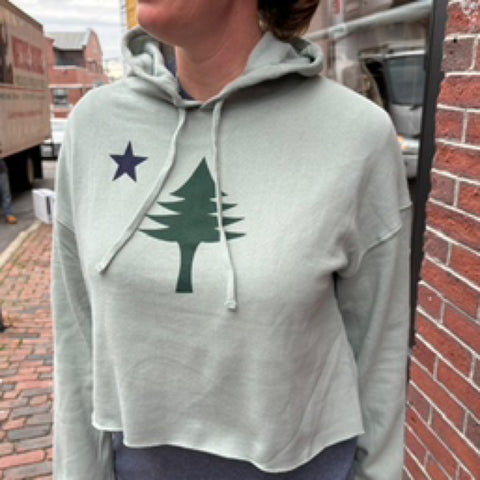 1901 Flag Sage Cropped Hoodie