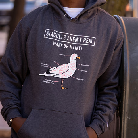 Seagulls Aren’t Real Hoodies @Forthouse