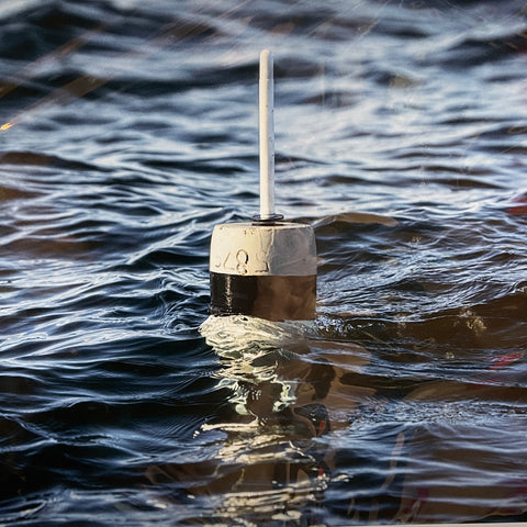 Buoy Print