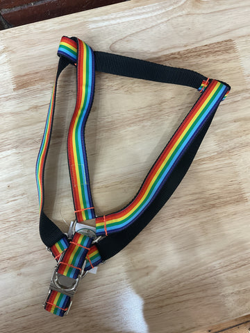 Rainbow Harness @uncommonpaws