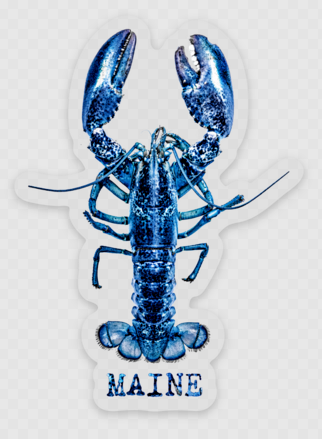 Blue Lobster Sticker @themainesouvenirshop