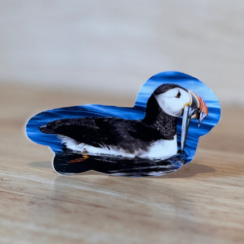 Swimming Puffin Photo Sticker -  @themainesouvenirshop