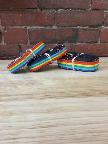 Rainbow Leash @uncommonpaws