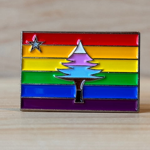 1901 Flag Pride Flag Enamel Pin @_hcdesign_