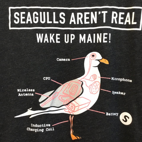 Seagulls Aren’t Real Longlseeve @Forthouse